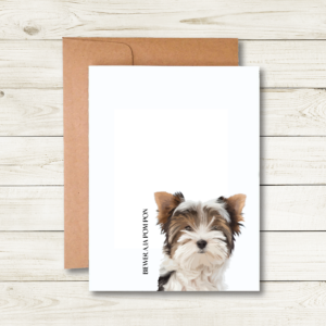 Biewer a la Pom Pon Note Cards